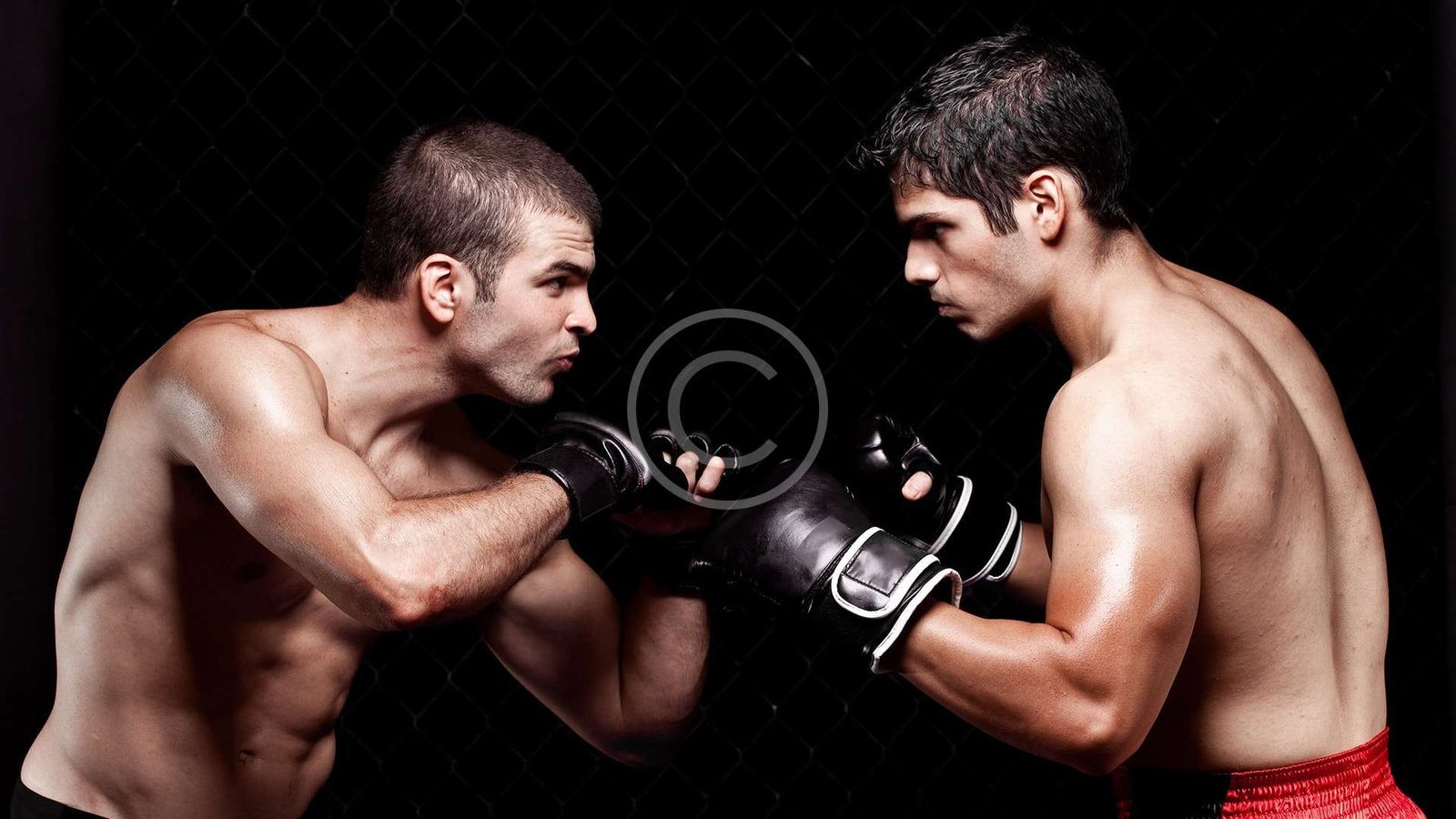 Why It is Important to Watch the Opponents` Fights