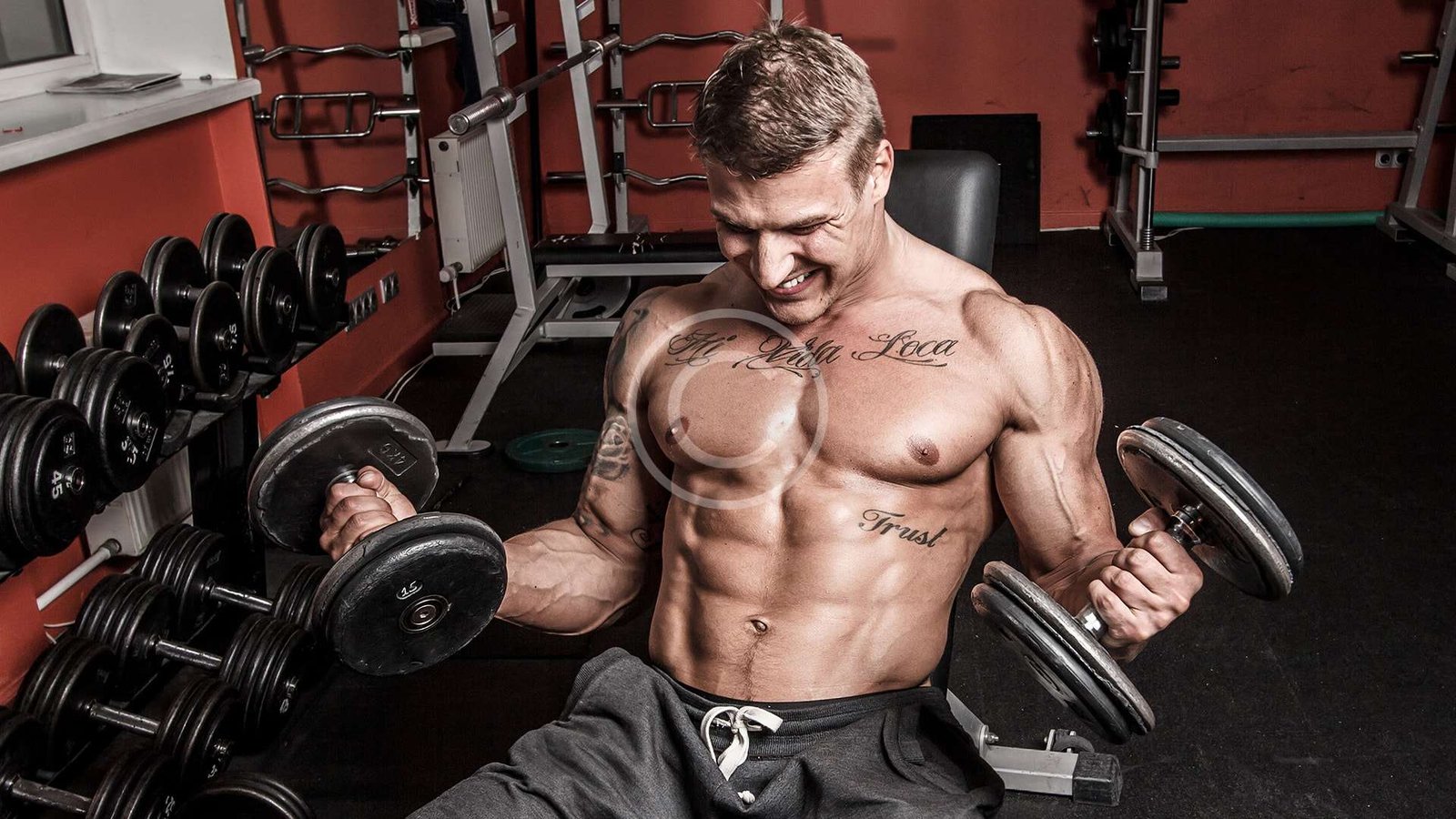 Ultimate Powerlifting Training at Our Gym