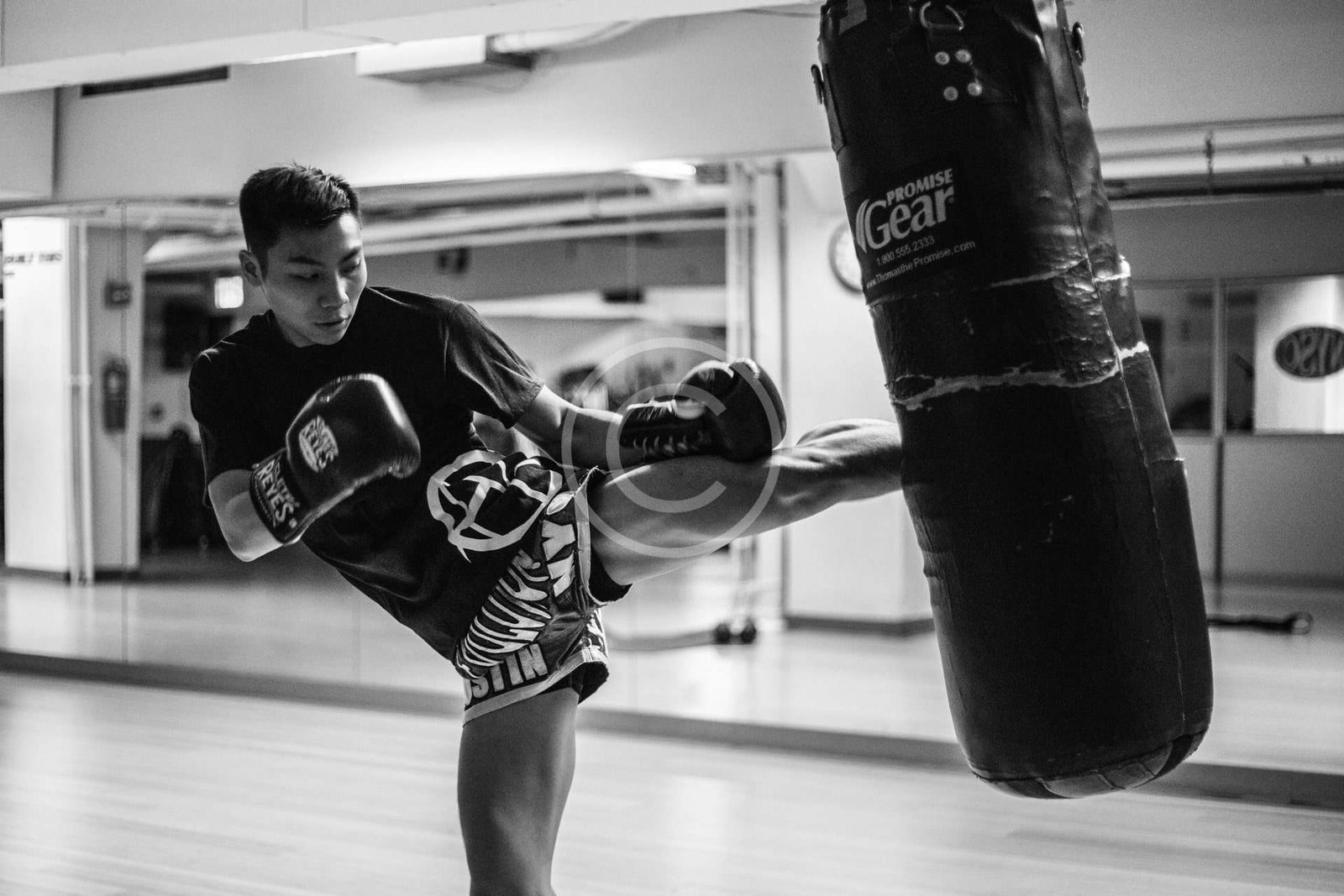 The Most Famous Asian MMA Fighters in 2021